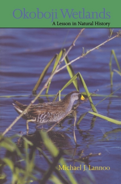Okoboji Wetlands : A Lesson in Natural History, PDF eBook