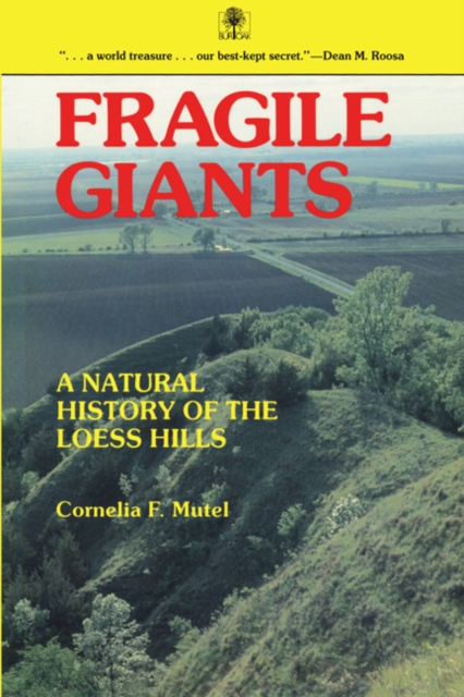 Fragile Giants : A Natural History of the Loess Hills, PDF eBook