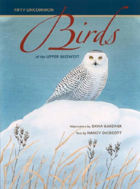 Fifty Uncommon Birds of the Upper Midwest, Hardback Book
