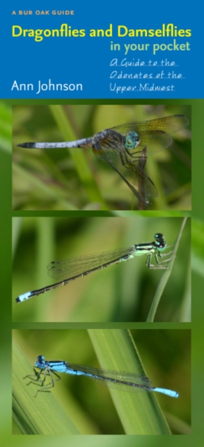 Dragonflies and Damselflies in Your Pocket : A Guide to the Odonates of the Upper Midwest, PDF eBook