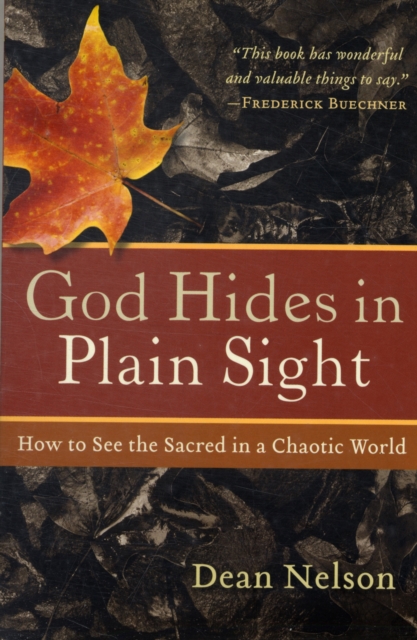 God Hides In Plain Sight, Paperback / softback Book