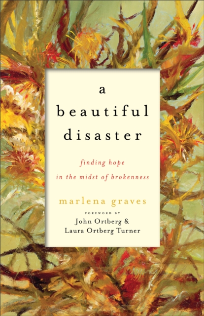 A Beautiful Disaster - Finding Hope in the Midst of Brokenness, Paperback / softback Book