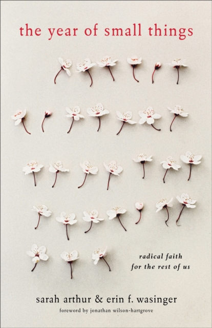 The Year of Small Things – Radical Faith for the Rest of Us, Paperback / softback Book