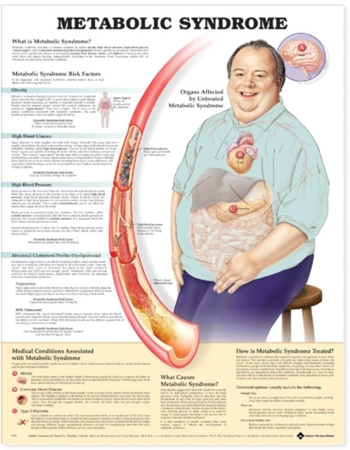 Metabolic Syndrome Anatomical Chart, Wallchart Book
