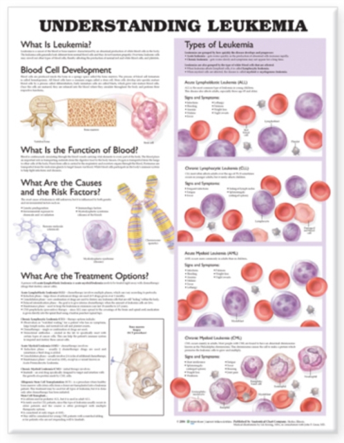Understanding Leukemia Anatomical Chart, Wallchart Book