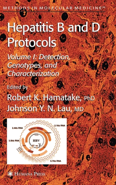 Hepatitis B and D Protocols : Volume 1: Detection, Genotypes, and Characterization, Hardback Book