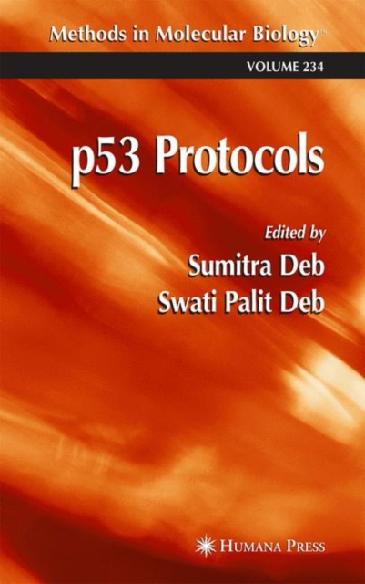 P53 Protocols, Hardback Book