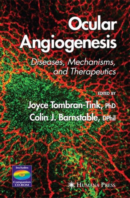 Ocular Angiogenesis : Diseases, Mechanisms, and Therapeutics, Hardback Book