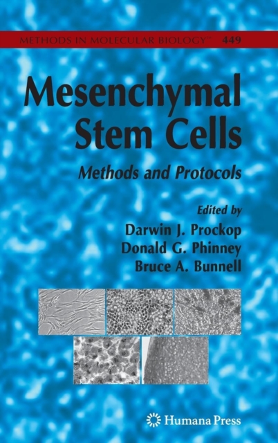 Mesenchymal Stem Cells : Methods and Protocols, Hardback Book