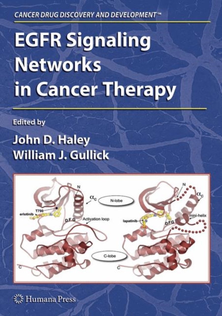 EGFR Signaling Networks in Cancer Therapy, Hardback Book