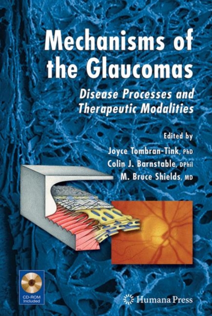 Mechanisms of the Glaucomas : Disease Processes and Therapeutic Modalities, Hardback Book