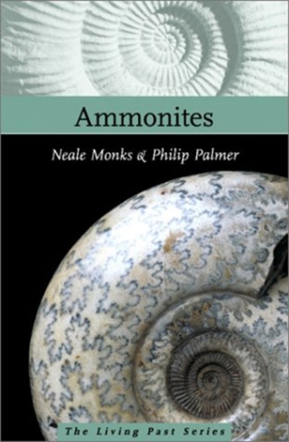 Ammonites, Hardback Book