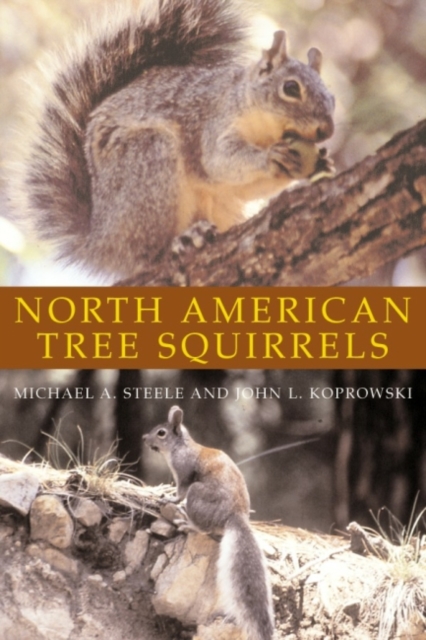 North American Tree Squirrels, Paperback / softback Book
