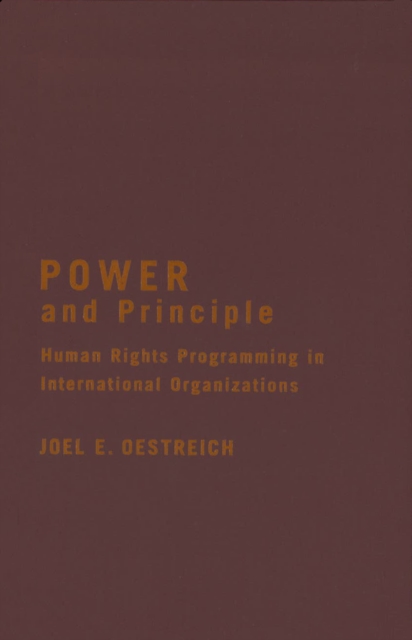Power and Principle : Human Rights Programming in International Organizations, PDF eBook