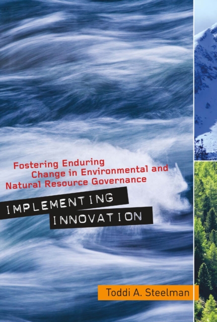 Implementing Innovation : Fostering Enduring Change in Environmental and Natural Resource Governance, PDF eBook