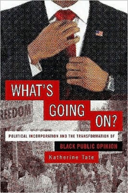 What's Going On? : Political Incorporation and the Transformation of Black Public Opinion, Paperback / softback Book