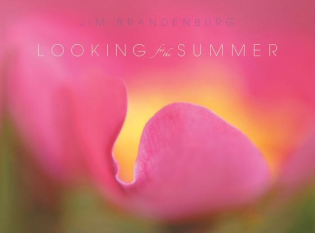 Looking for the Summer, Paperback / softback Book
