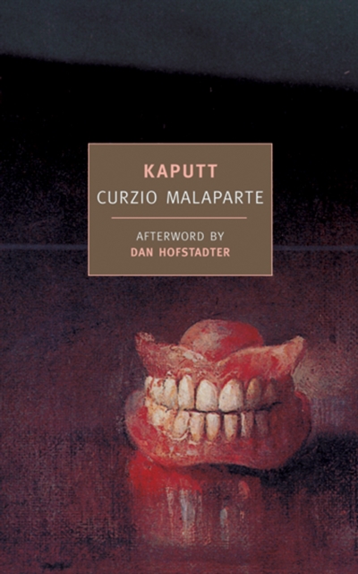 Kaputt, Paperback / softback Book