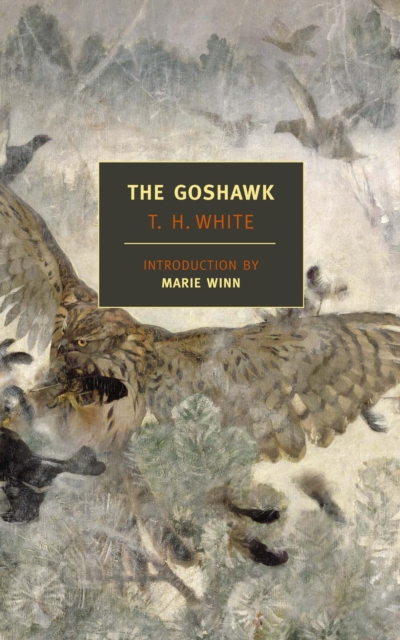 The Goshawk, Paperback / softback Book