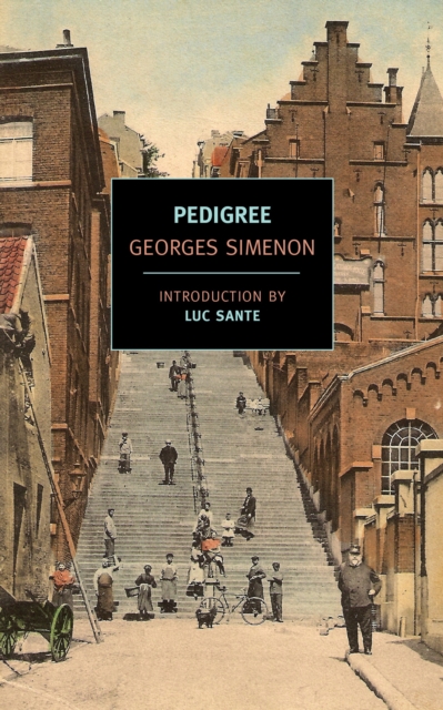 Pedigree, Paperback / softback Book