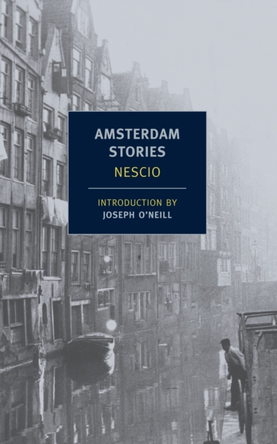Amsterdam Stories, Paperback / softback Book