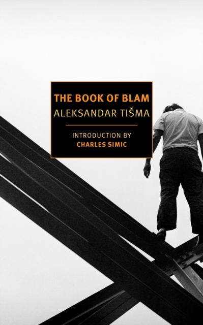 The Book Of Blam, Paperback / softback Book
