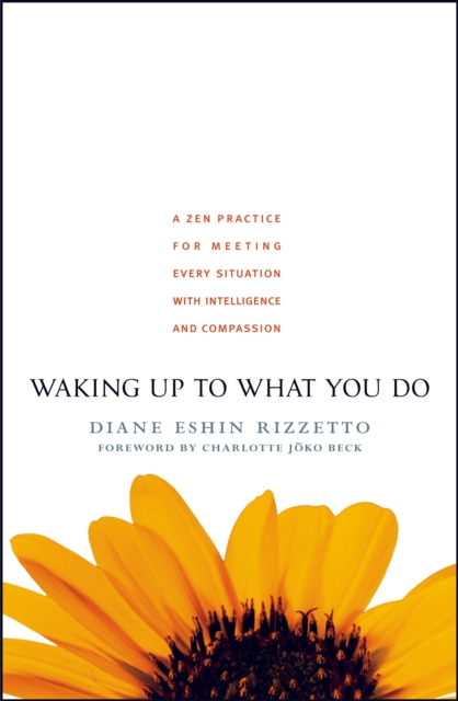 Waking Up to What You Do : A Zen Practice for Meeting Every Situation with Intelligence and Compassion, Paperback / softback Book