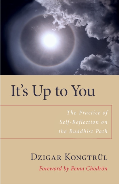 It's Up to You : The Practice of Self-Reflection on the Buddhist Path, Paperback / softback Book