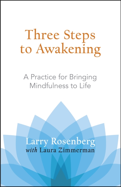 Three Steps to Awakening : A Practice for Bringing Mindfulness to Life, Paperback / softback Book