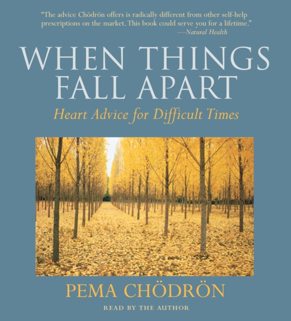 When Things Fall Apart : Heart Advice for Difficult Times, CD-Audio Book