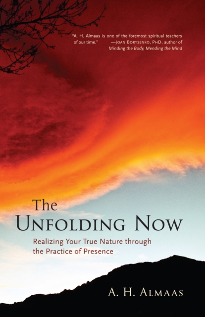 The Unfolding Now : Realizing Your True Nature through the Practice of Presence, Paperback / softback Book