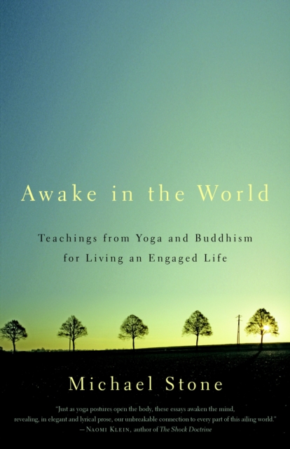 Awake in the World : Teachings from Yoga and Buddhism for Living an Engaged Life, Paperback / softback Book