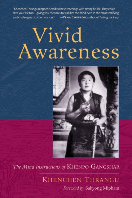 Vivid Awareness : The Mind Instructions of Khenpo Gangshar, Paperback / softback Book