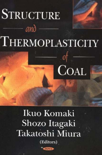 Structure & Thermoplasticity of Coal, Hardback Book
