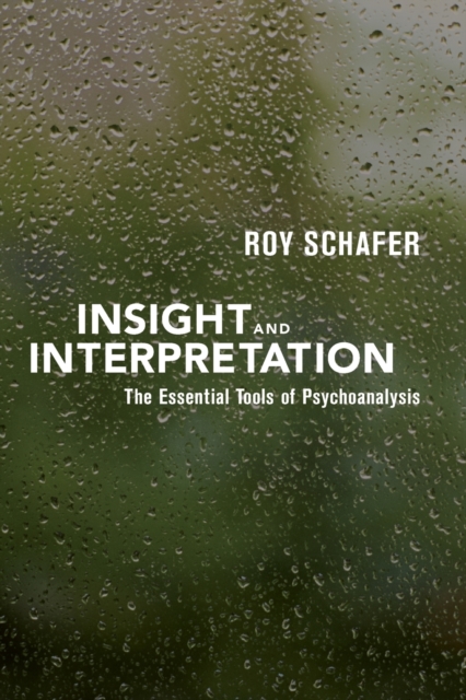 Insight and Interpretation, Paperback / softback Book