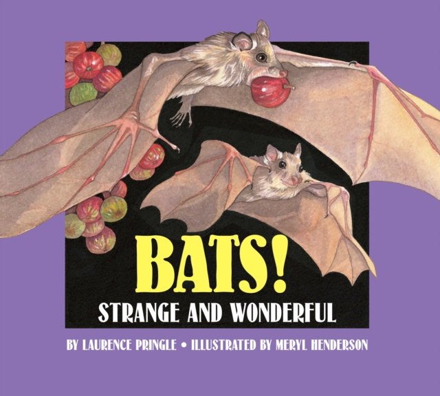 Bats!, Paperback / softback Book