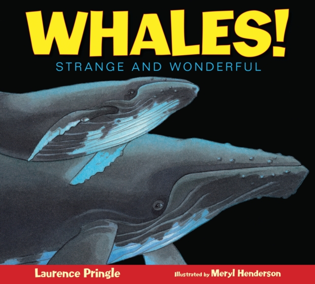 Whales!, Paperback / softback Book