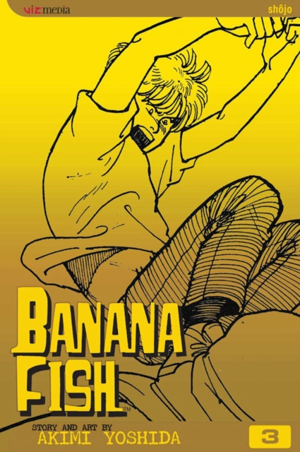 Banana Fish, Vol. 3, Paperback / softback Book