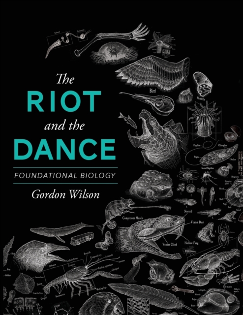 The Riot and the Dance : Foundational Biology, Paperback / softback Book