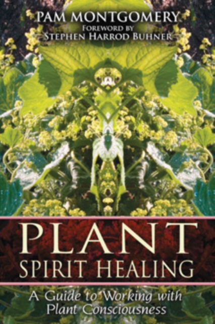 Plant Spirit Healing : A Guide to Working with Plant Consciousness, Paperback / softback Book