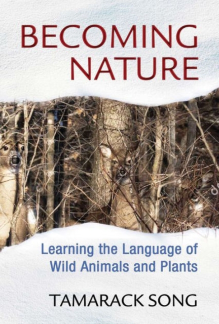 Becoming Nature : Learning the Language of Wild Animals and Plants, Paperback / softback Book