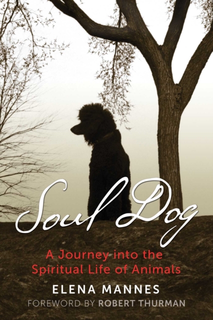 Soul Dog : A Journey into the Spiritual Life of Animals, Paperback / softback Book