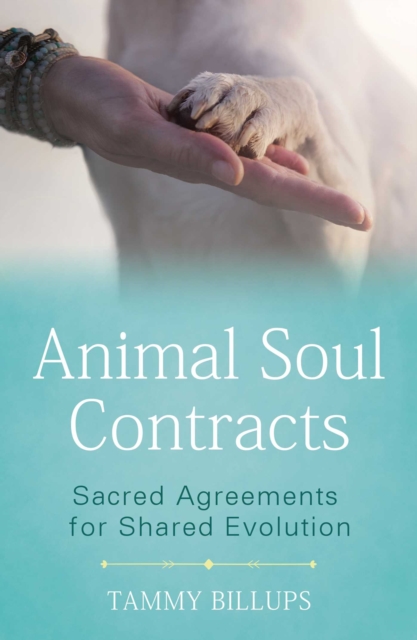 Animal Soul Contracts : Sacred Agreements for Shared Evolution, EPUB eBook