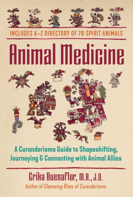 Animal Medicine : A Curanderismo Guide to Shapeshifting, Journeying, and Connecting with Animal Allies, EPUB eBook
