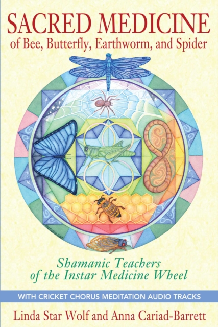 Sacred Medicine of Bee, Butterfly, Earthworm, and Spider : Shamanic Teachers of the Instar Medicine Wheel, EPUB eBook
