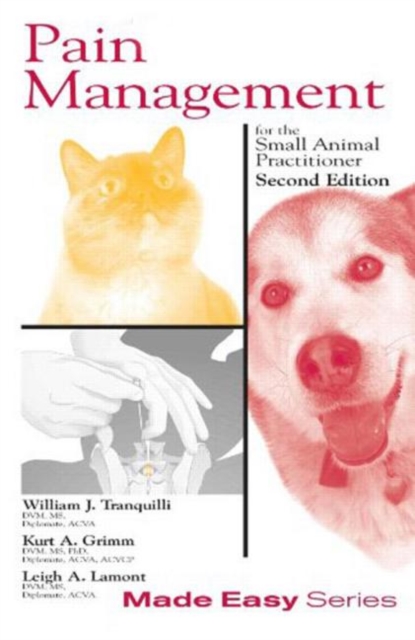 Pain Management for the Small Animal Practitioner (Book+CD), Paperback / softback Book