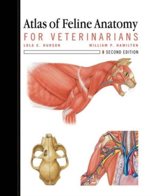 Atlas of Feline Anatomy For Veterinarians, Paperback / softback Book