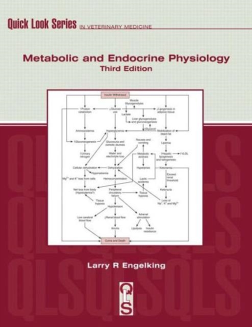 Metabolic and Endocrine Physiology, Paperback / softback Book