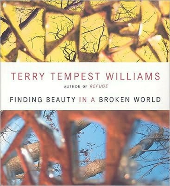 Finding Beauty in a Broken World, CD-Audio Book