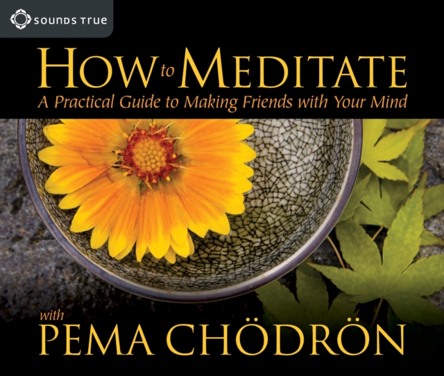 How to Meditate with Pema Chodron : A Practical Guide to Making Friends with Your Mind, CD-Audio Book